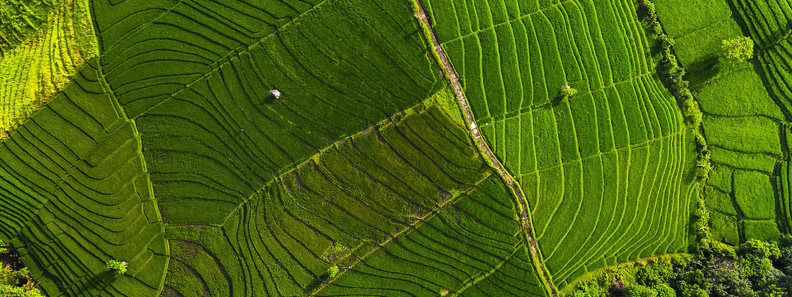 Grâce à l’un des premiers PPA Greenfield en France, ENGIE lance une solution globale pour faciliter l’accès direct à l’électricité renouvelable à ses clients