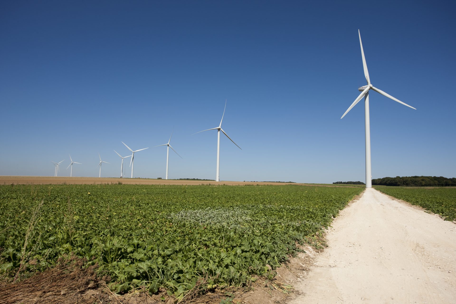 Vers des éoliennes 100% recyclables