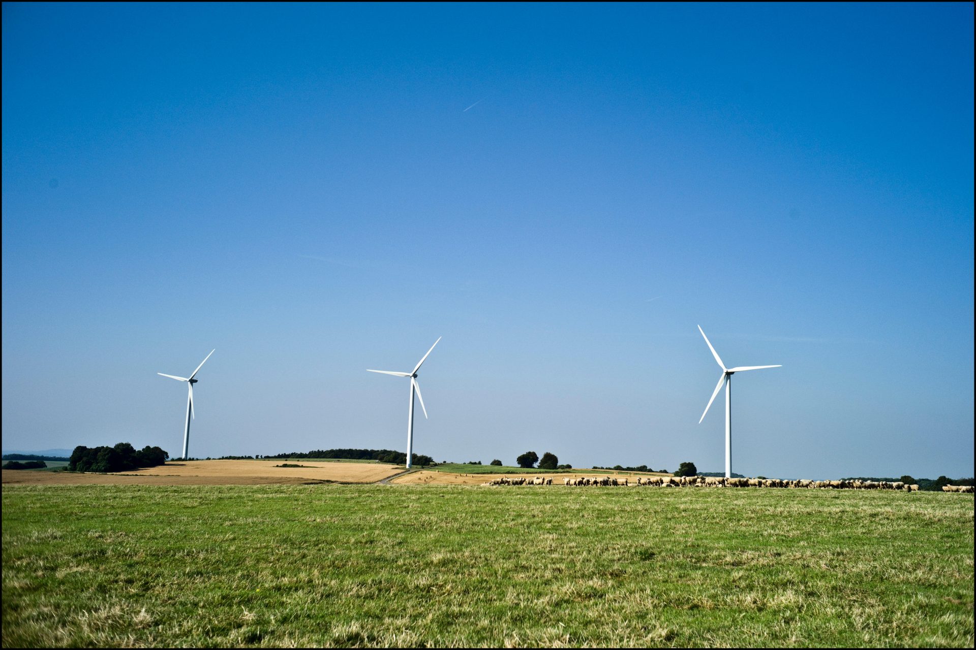 Avancement du projet de renouvellement du Haut des Ailes