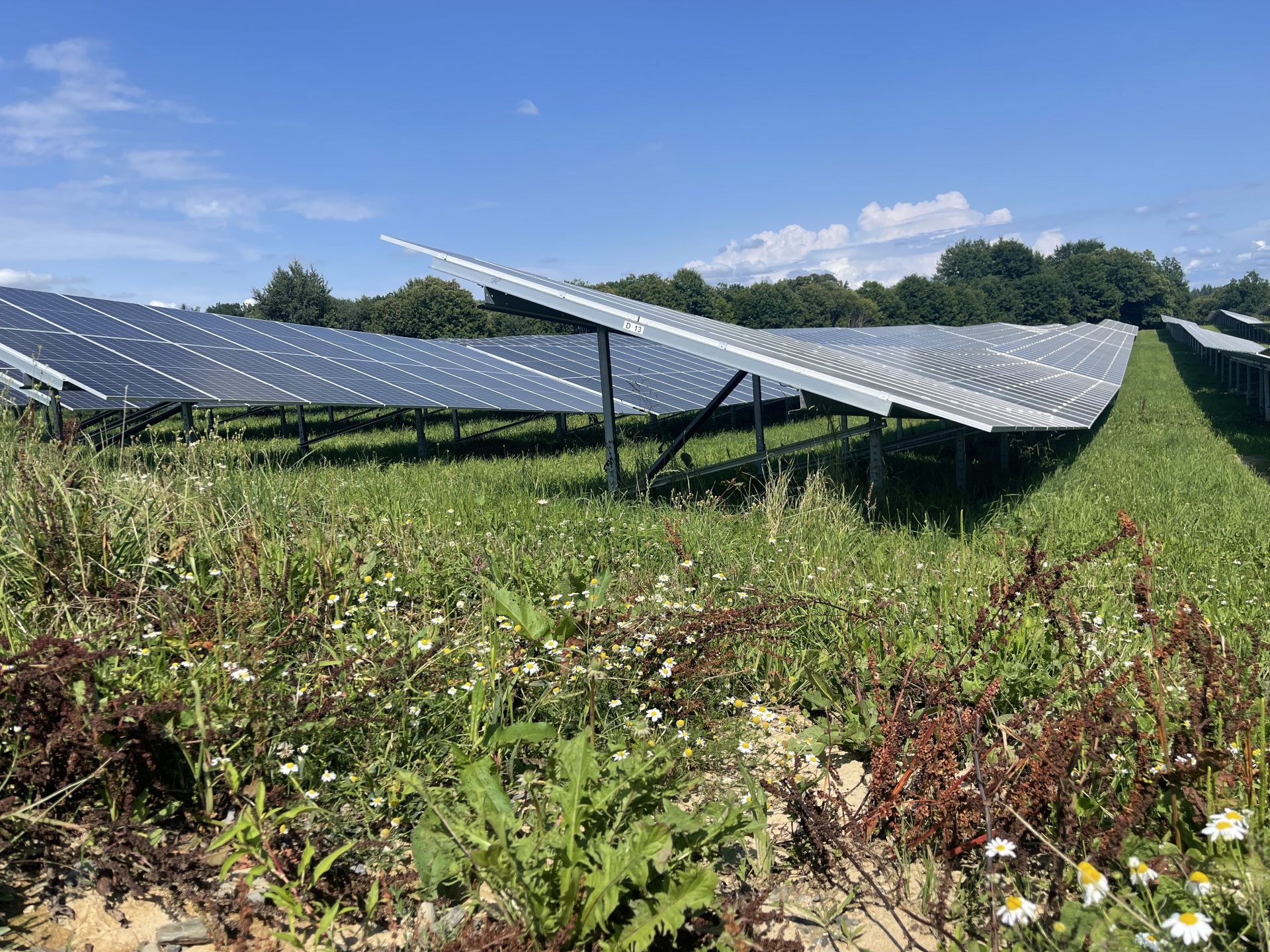 Les ENR artificialisent-elles les sols ? 