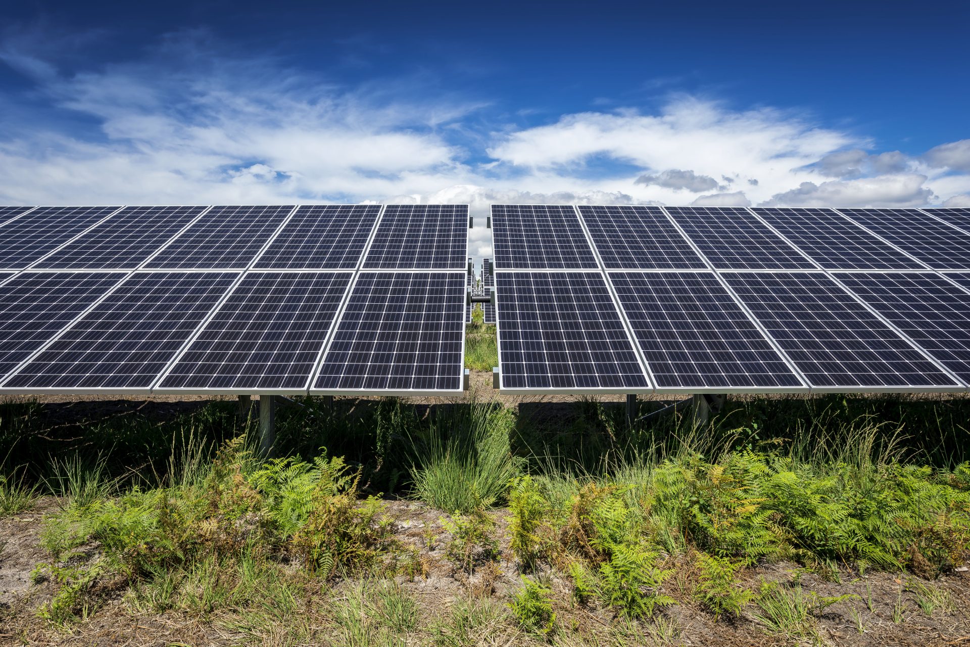 Installation centrale solaire au sol