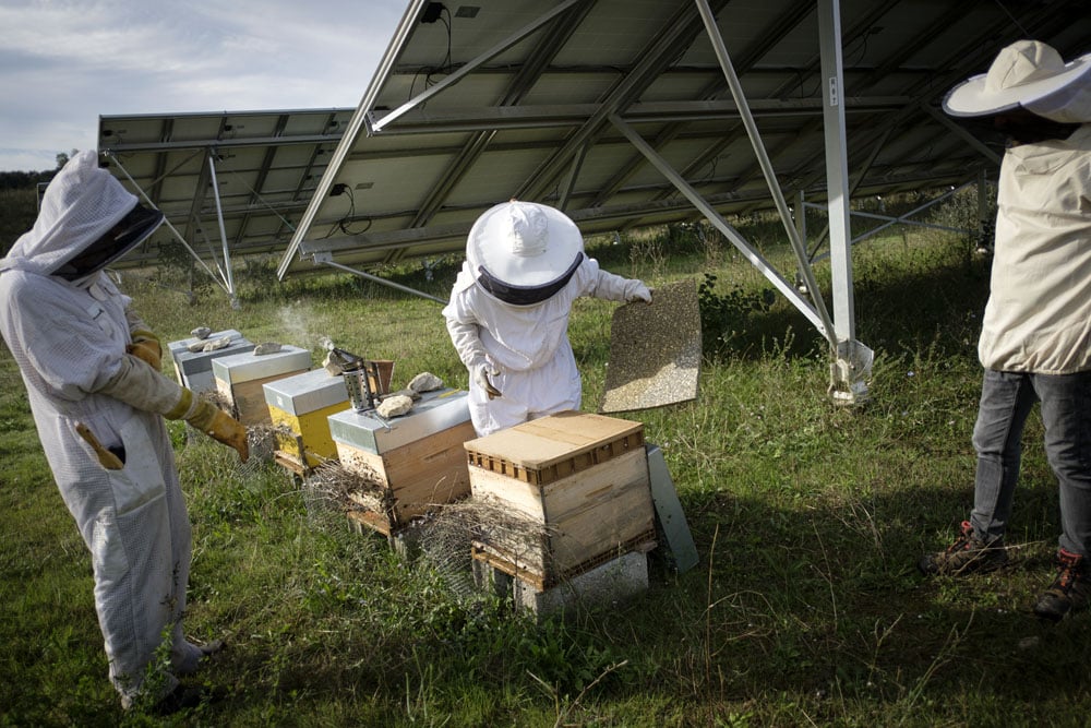 Des actions concrètes en faveur de la biodiversité