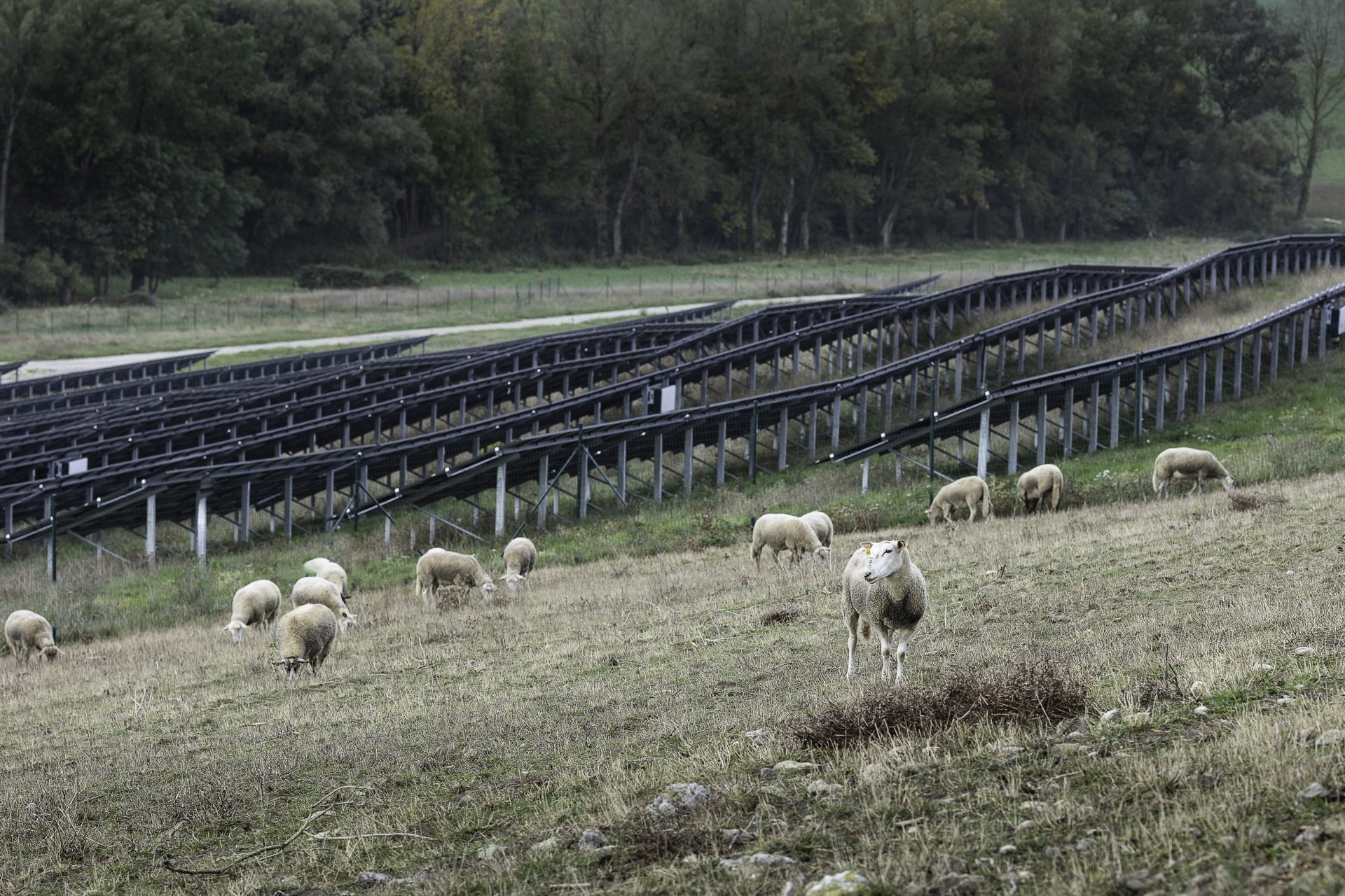 La centrale photovoltaïque de Fanjeaux