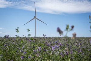 éolienne biodiversité sol