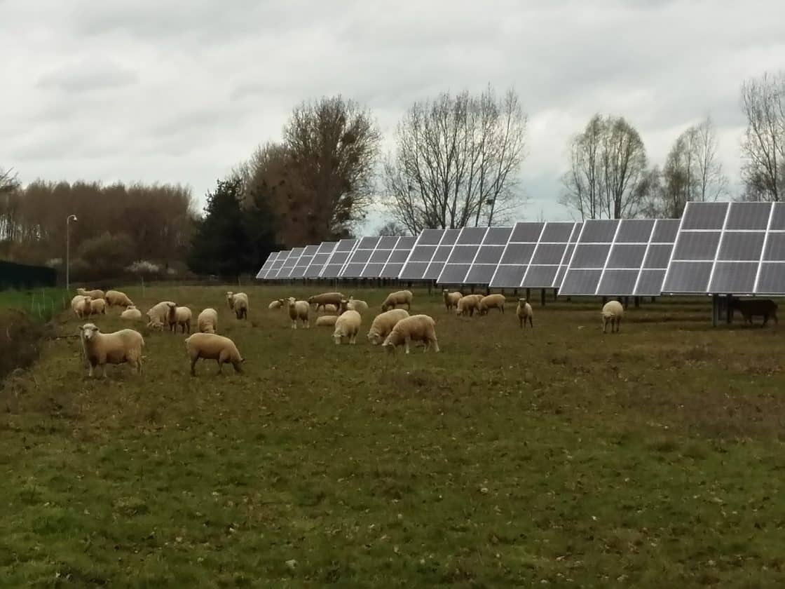 Ovin lattitude Nord – ENGIE Green
