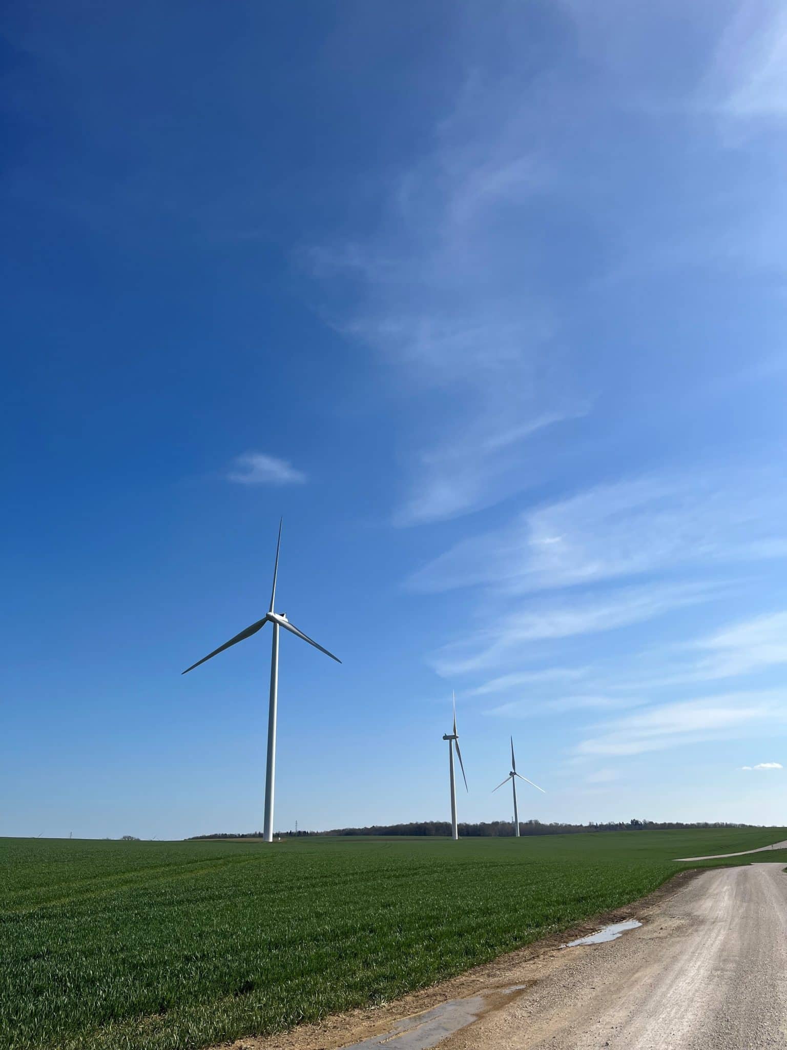 Picto de mise en avant