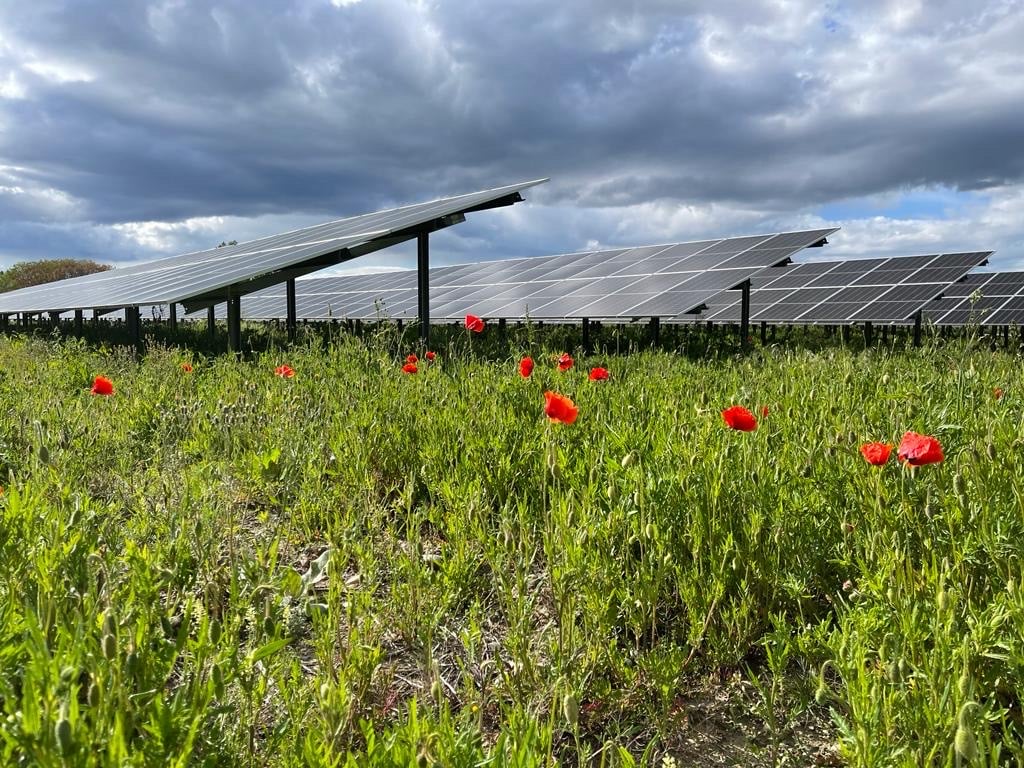  Inauguration du parc photovoltaïque de Volgelsheim