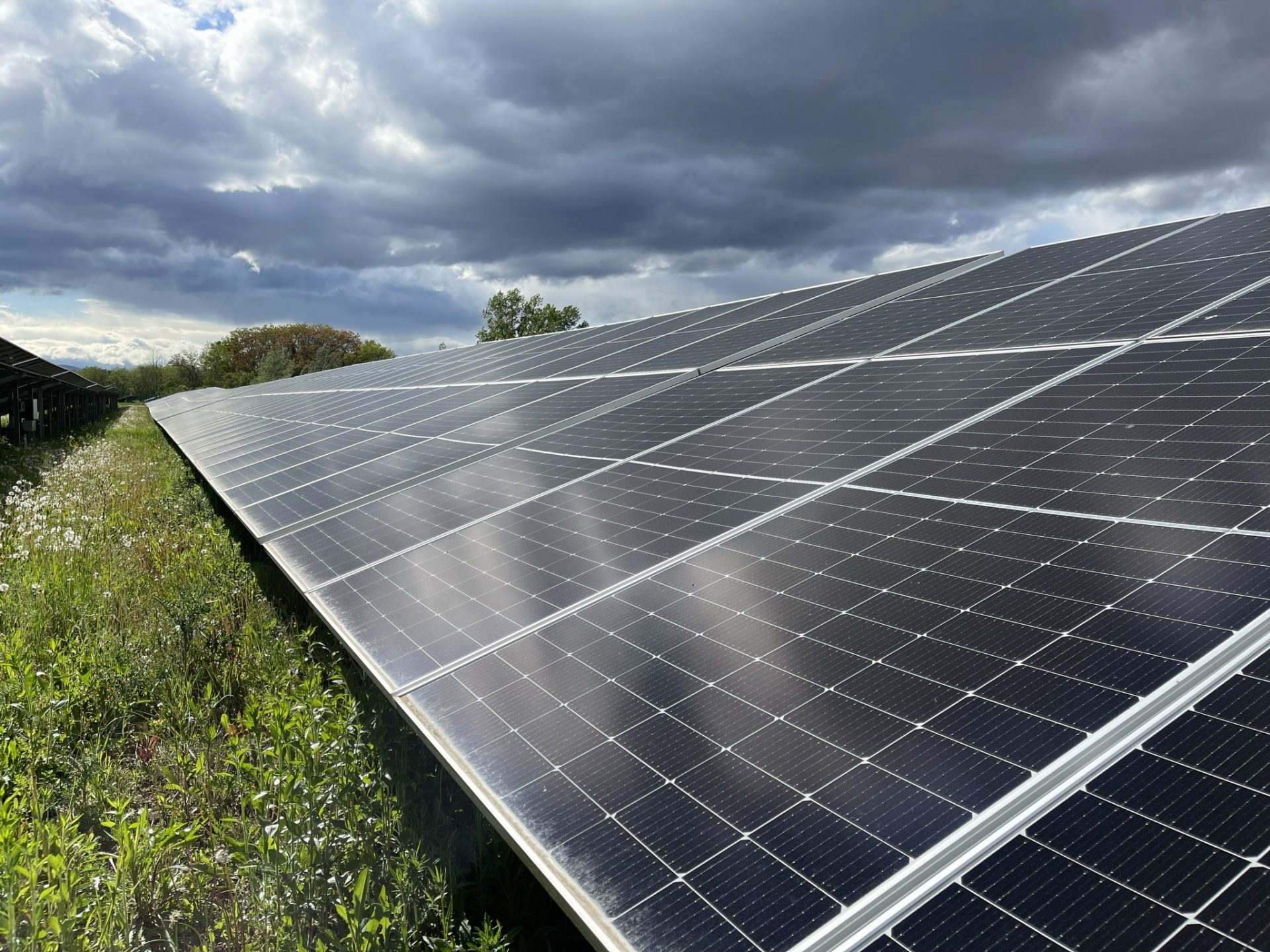 Nouvelles du soleil dans le Haut-Rhin : construction de la centrale solaire de Volgelsheim