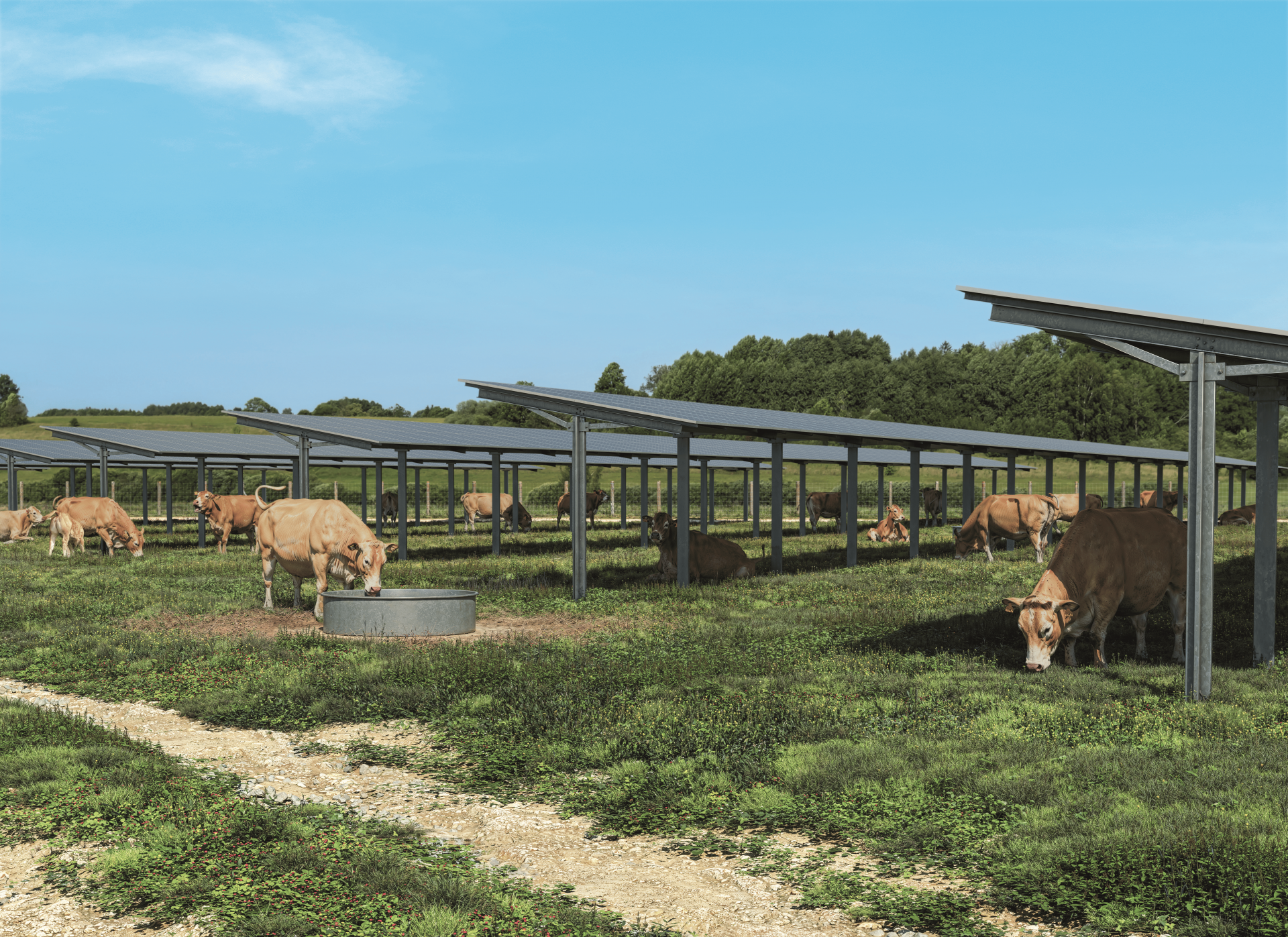 Ombrières photovoltaïques agricoles : atouts et spécificités