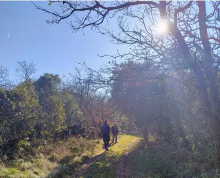La Suquée - Compte rendu de la Réunion du Groupe de Travail - Lundi 24 mars 2025 à Chantemerle-Lès-Grignan