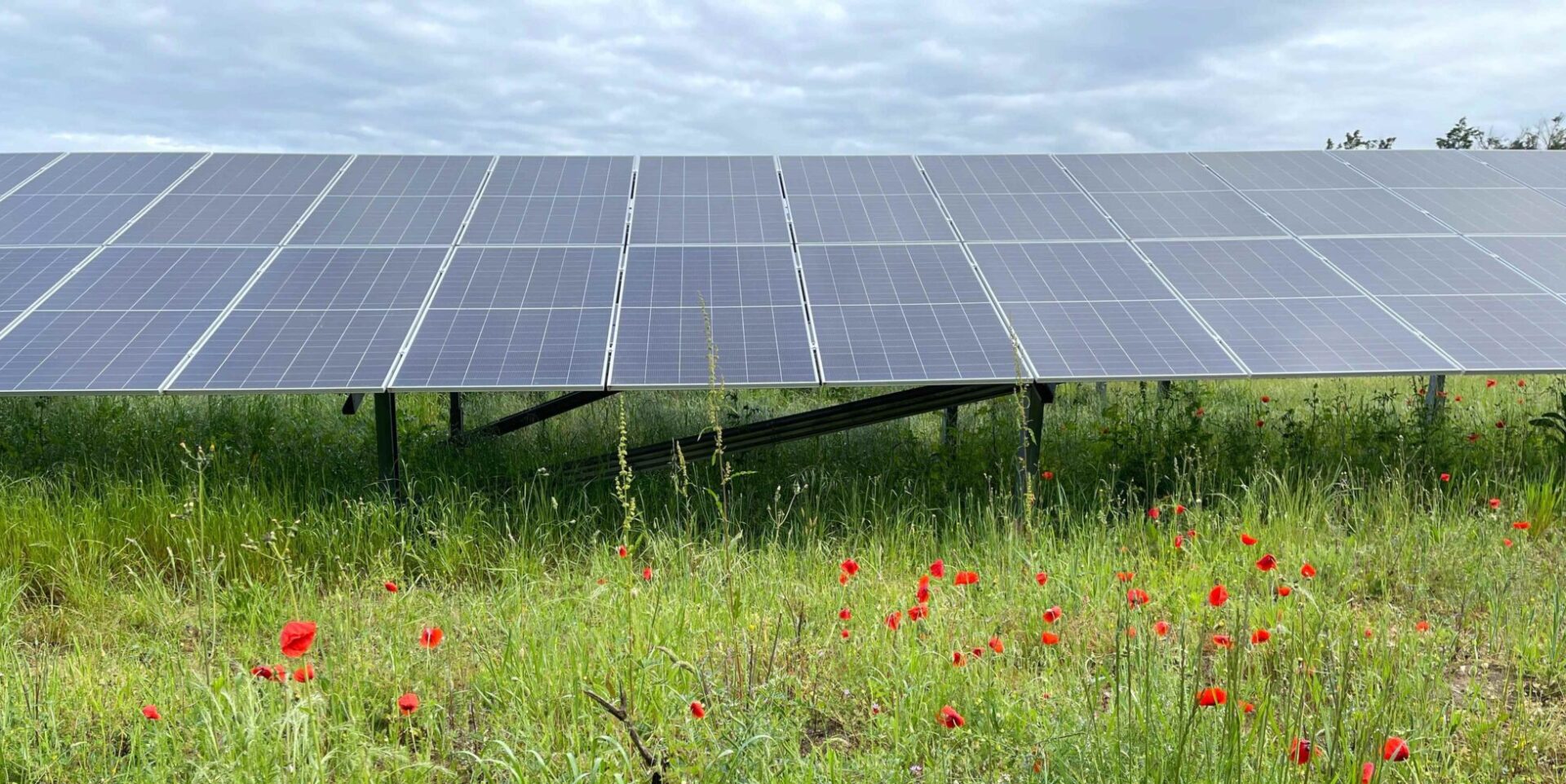 Inauguration de la centrale photovoltaïque Les Neiges à Marmagne (Cher)
