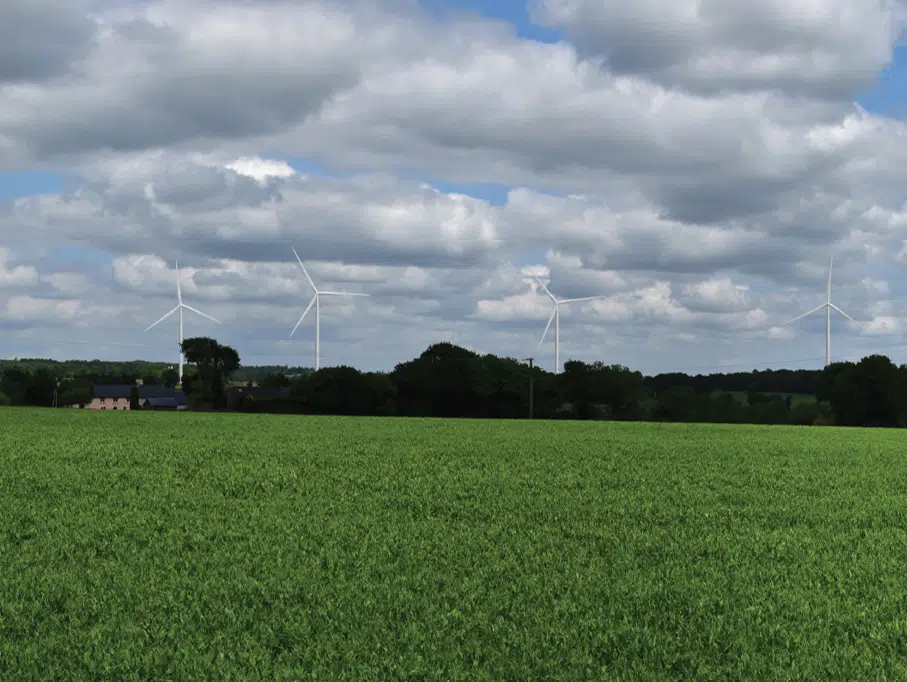 Image entête page projet detail