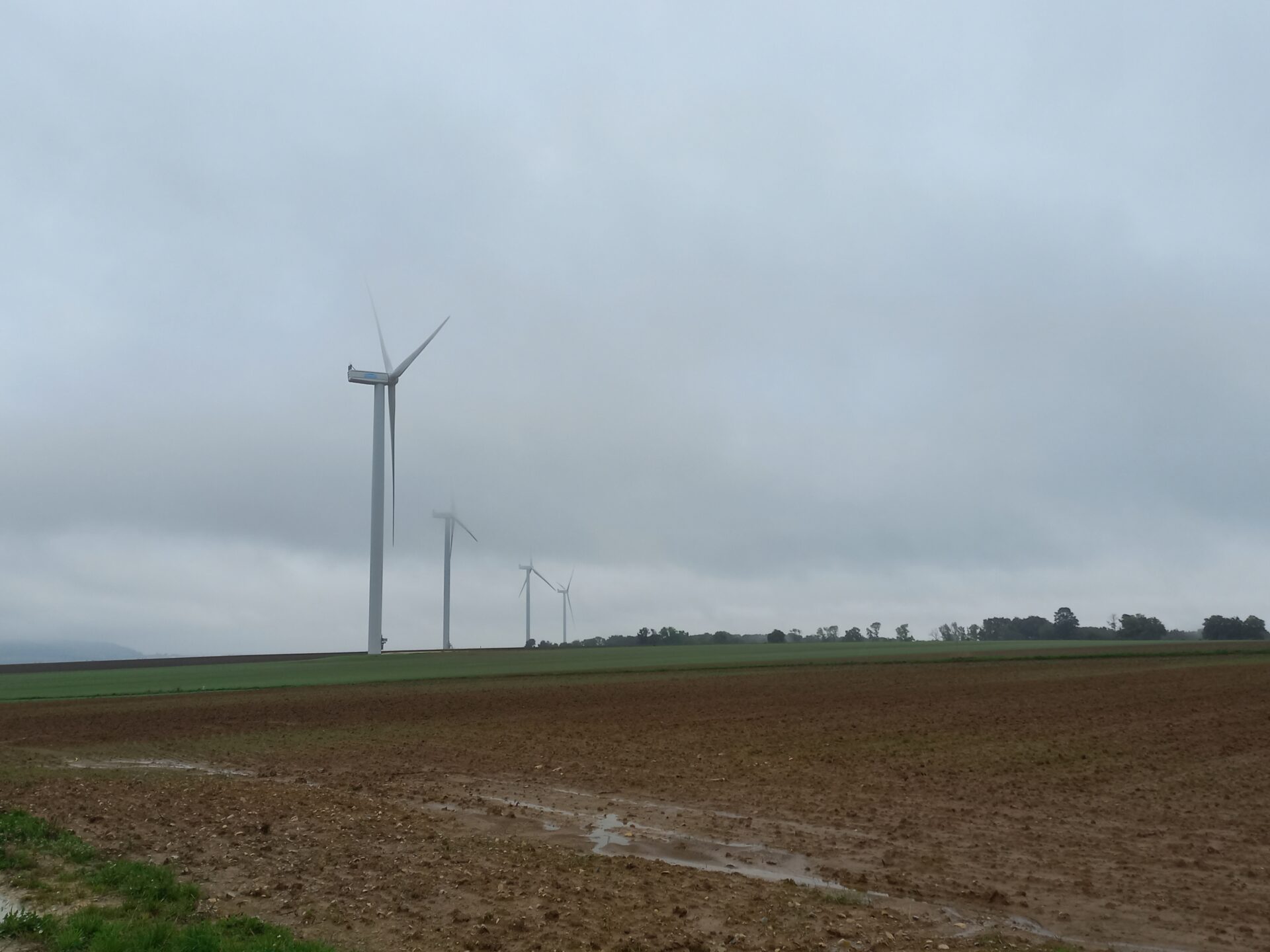 Inauguration du parc éolien de Saulnois (Moselle)
