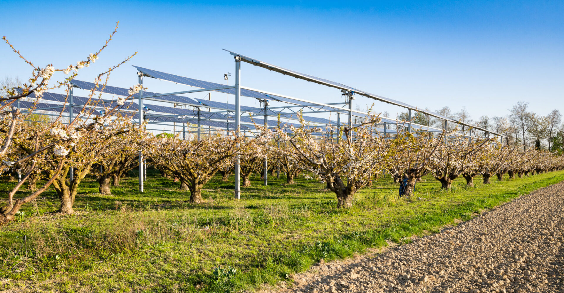 Image entête page projet detail