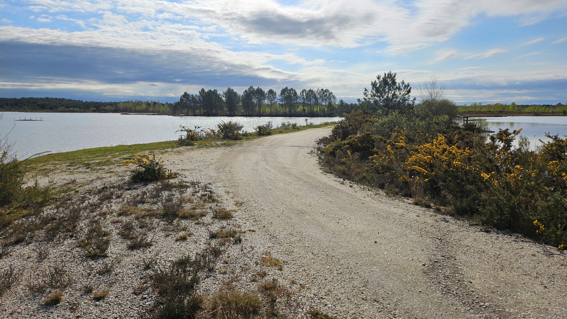 Image entête page projet detail