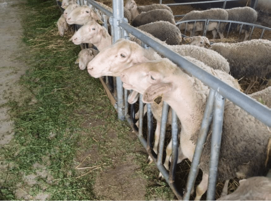 Image entête page projet detail