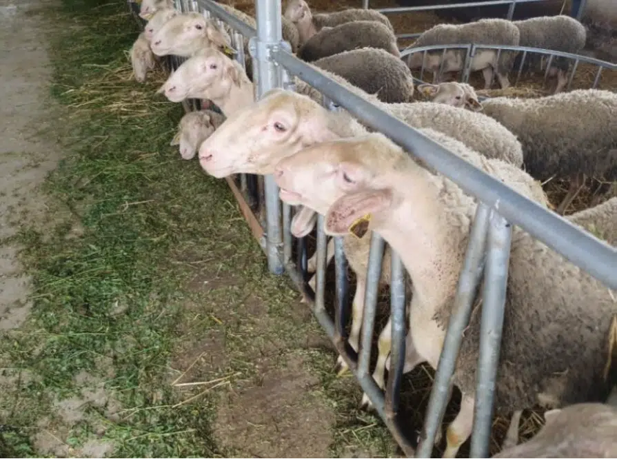 Image entête page projet detail